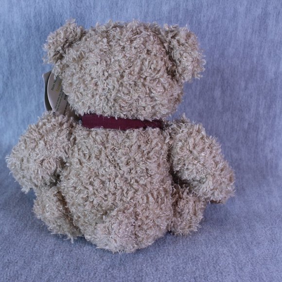 First & Main SCRAGGLES Teddy Bear Plush 9" Stuffed Animal NEW Toy - Picture 4 of 6